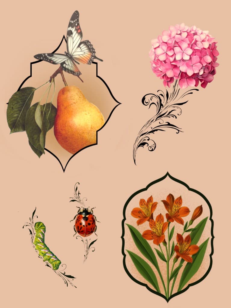Pre-drawn design
