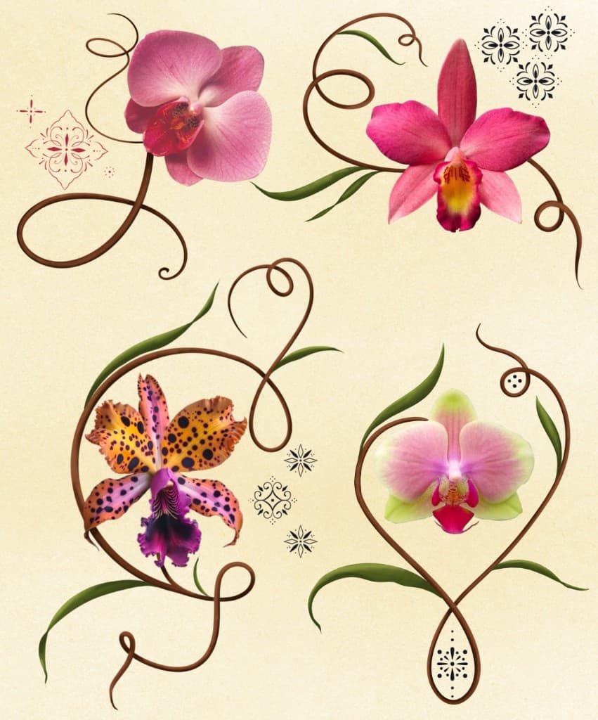 Pre-drawn design